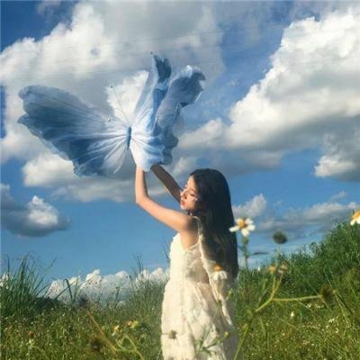 白山新歌