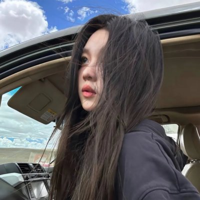 恋恋飞翔