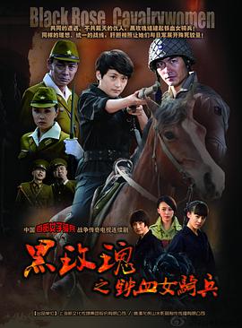 神秘夫人粤语 封面图